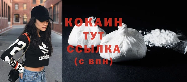 шишки Нягань