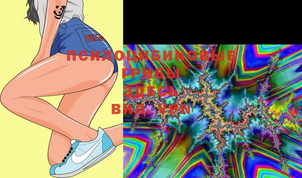 шишки Нягань