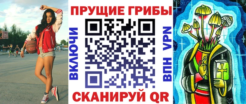 мега вход  Любим  Галлюциногенные грибы мицелий 