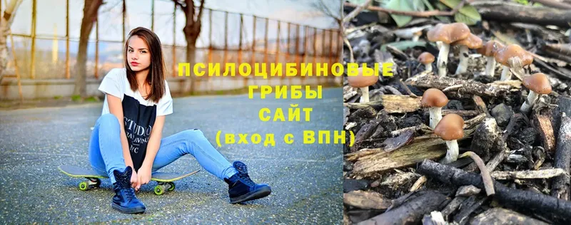 Галлюциногенные грибы мицелий  блэк спрут как войти  Любим 